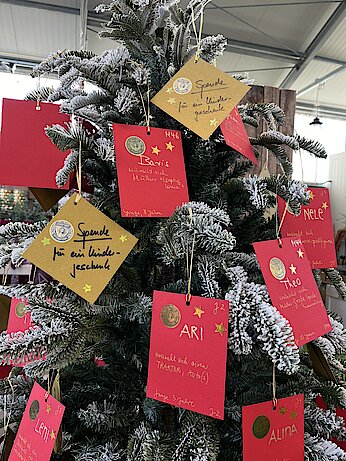 Wunschkarten am Weihnachtsbaum